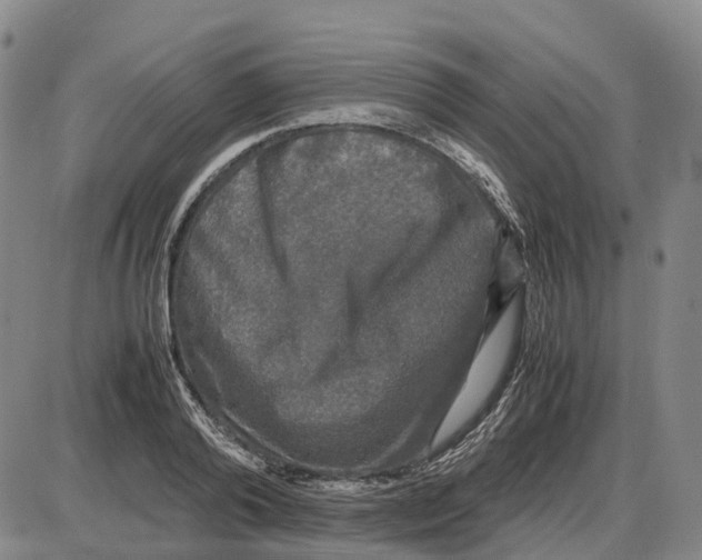 X0000085070792200704021409