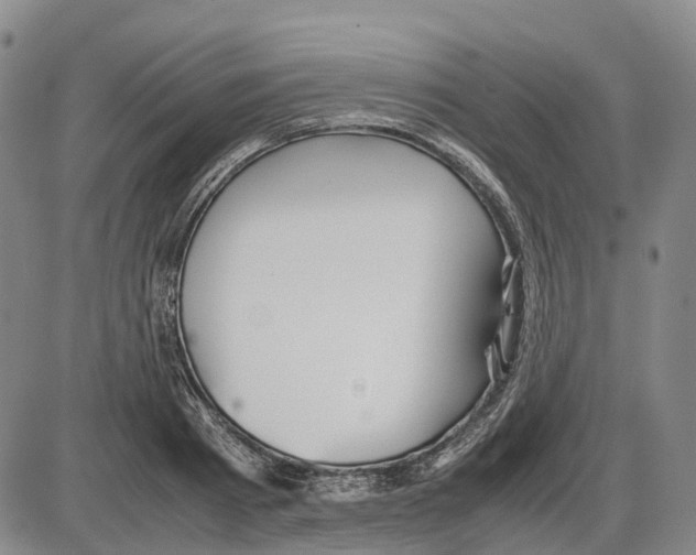 X0000085070793200704021409