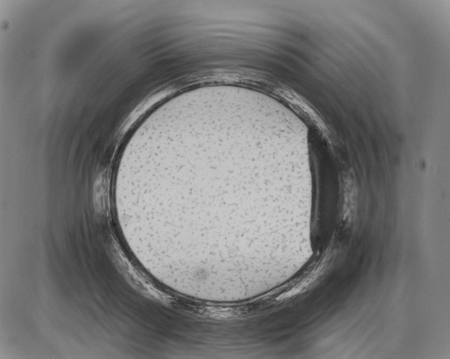 X0000085070794200704021409