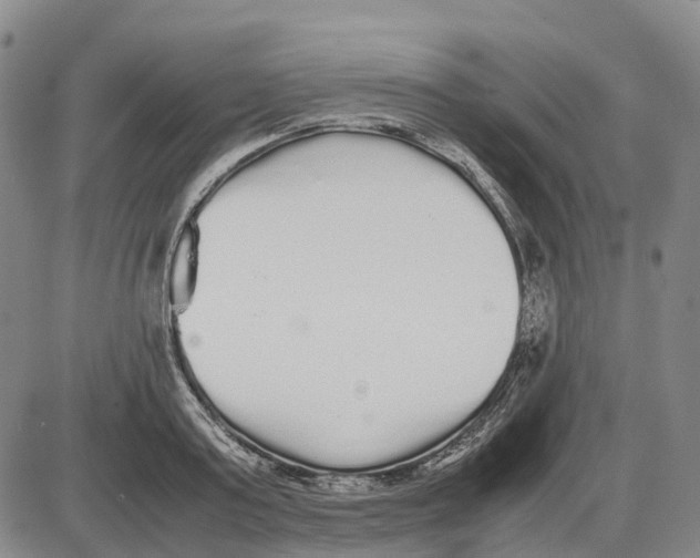 X0000085070795200704021409