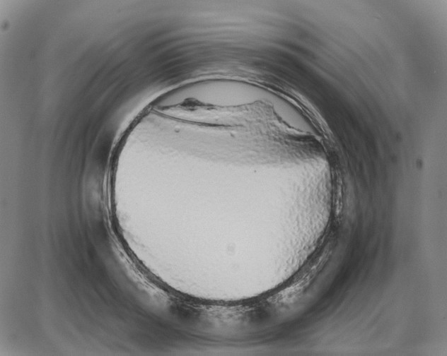 X0000085070796200704021409