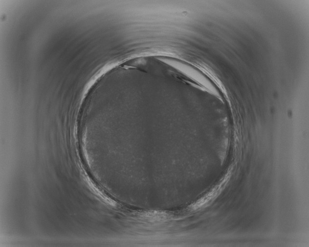 X0000085070797200704021409