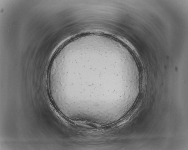 X0000085070799200704021409