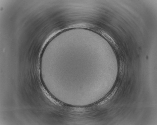 X0000085070800200704021409