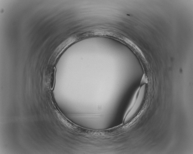 X0000085070801200704021409