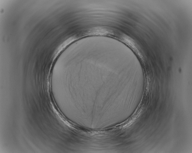 X0000085070802200704021409