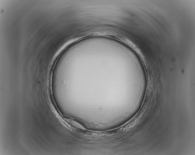 X0000085070803200704021409