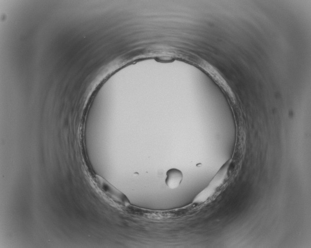 X0000085070805200704021409