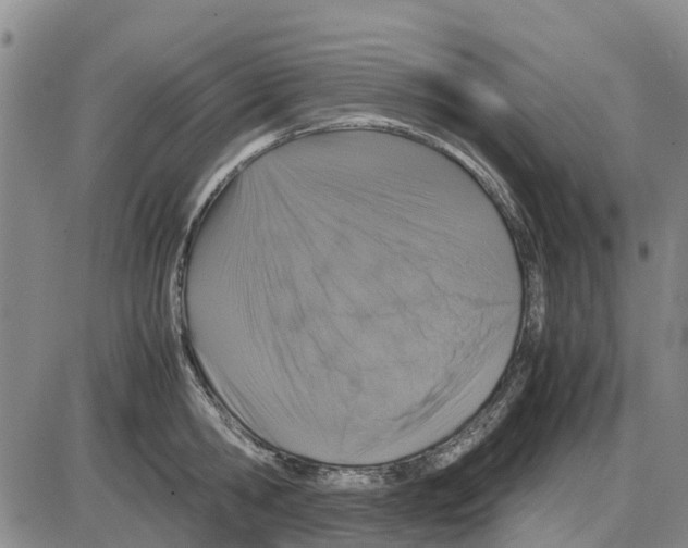 X0000085070806200704021409