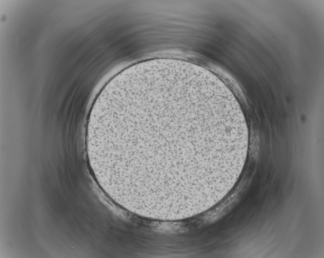 X0000085070808200704021409