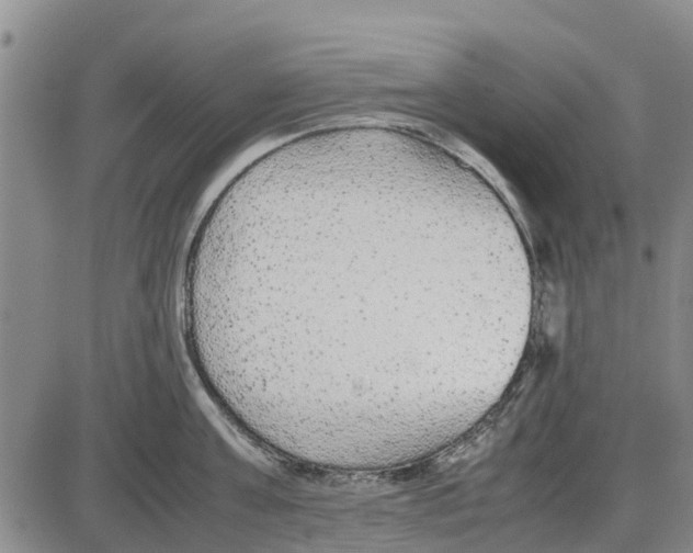 X0000085070811200704021409