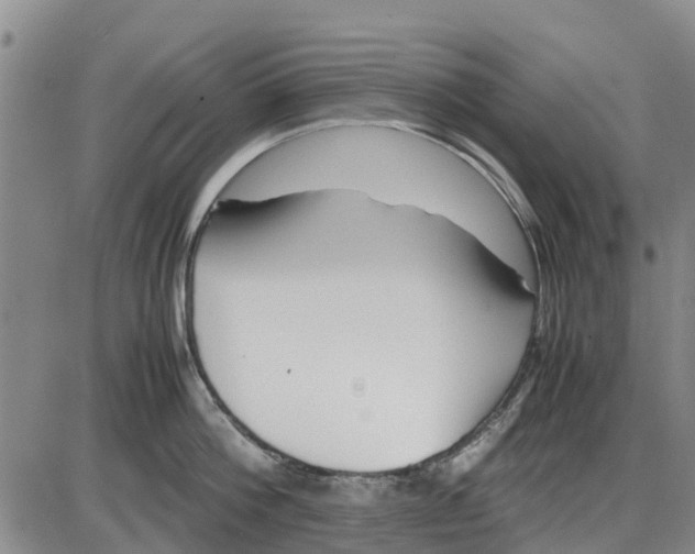 X0000085070812200704021409