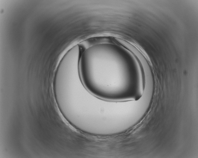 X0000085070813200704021409