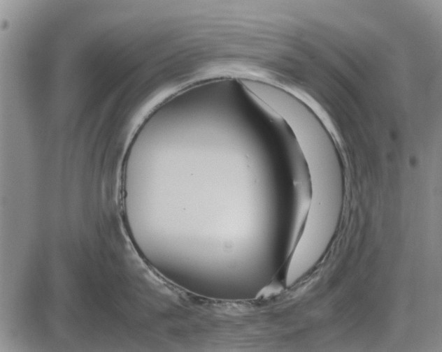 X0000085070815200704021409