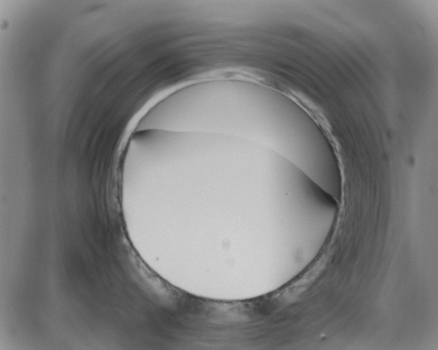 X0000085070816200704021409