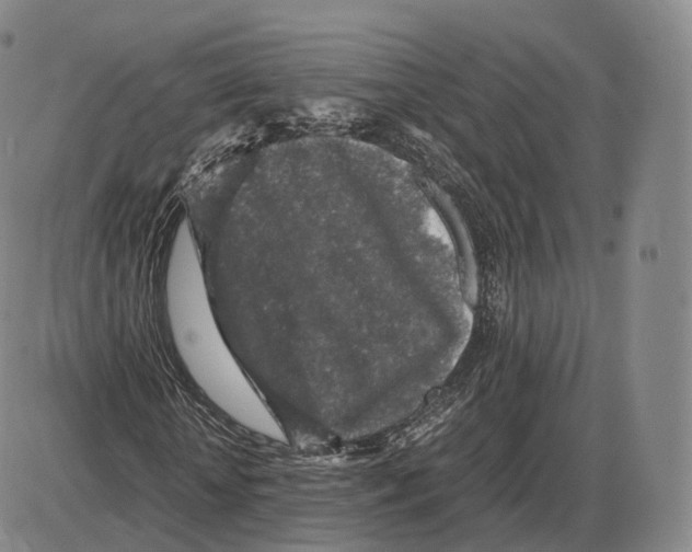 X0000085070818200704021408