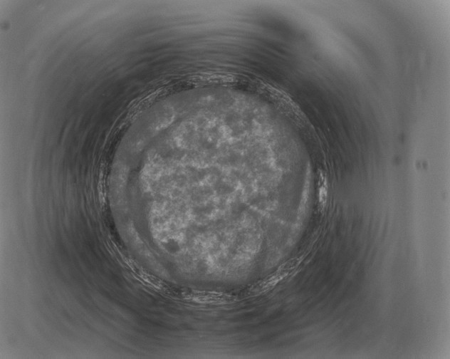 X0000085070819200704021408