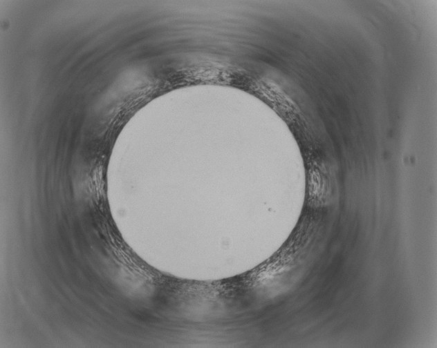 X0000085070820200704021408