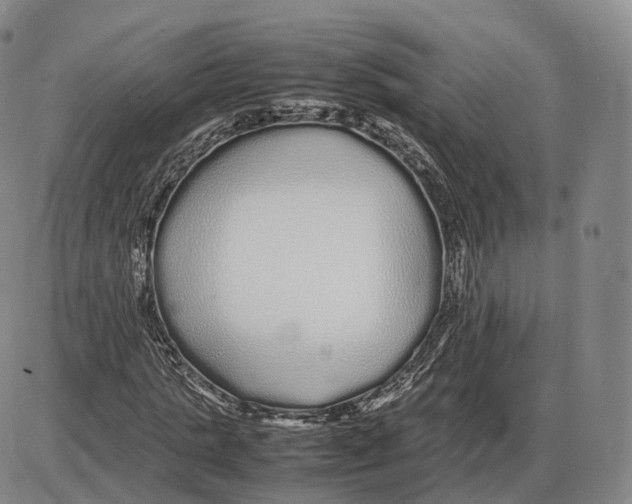 X0000085070821200704021408