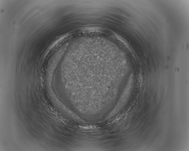 X0000085070823200704021408