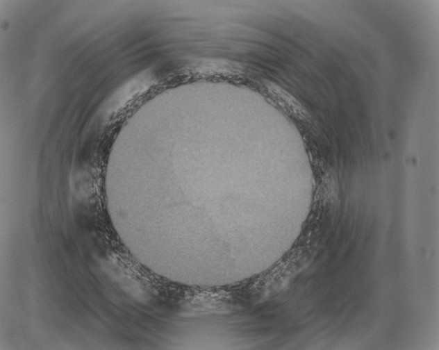 X0000085070824200704021408