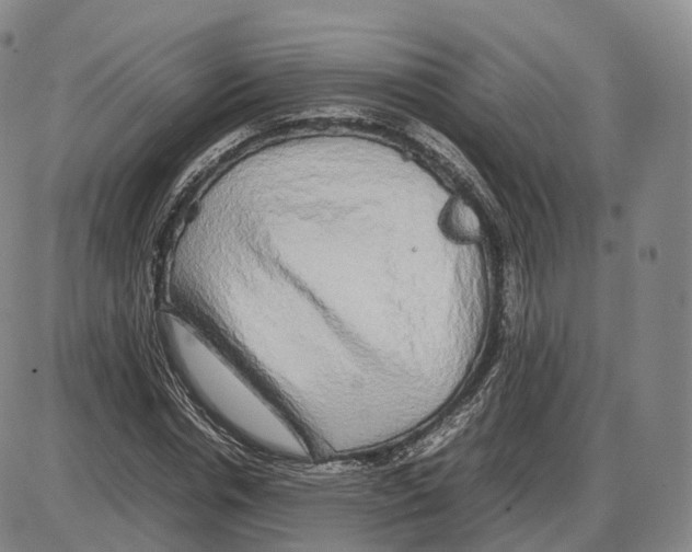 X0000085070826200704021408