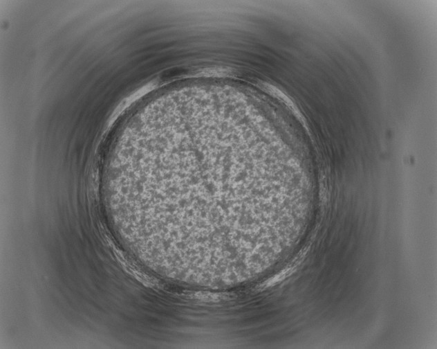 X0000085070827200704021408