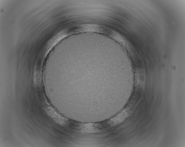 X0000085070828200704021408