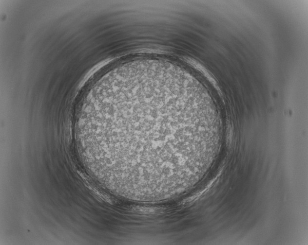 X0000085070829200704021408