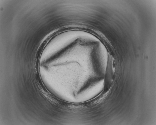 X0000085070830200704021409