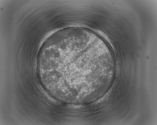 X0000085070831200704021409