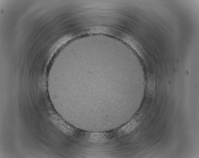 X0000085070832200704021409