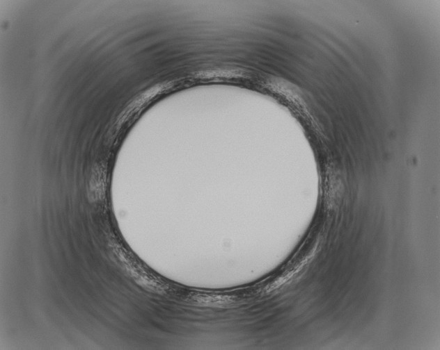 X0000085070833200704021409