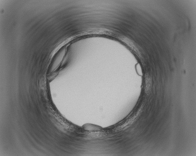 X0000085070834200704021409