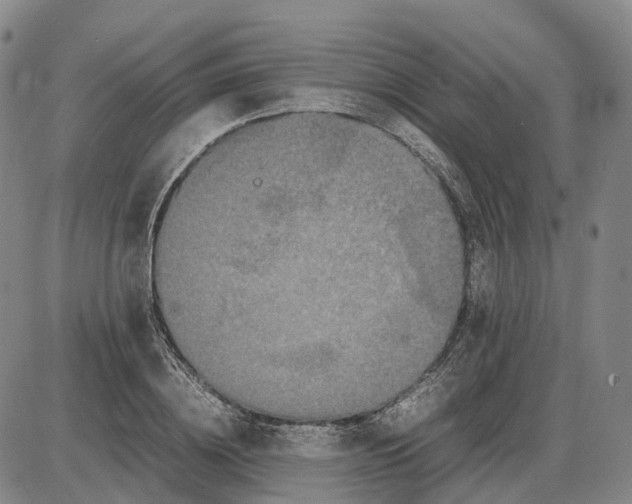 X0000085070836200704021409