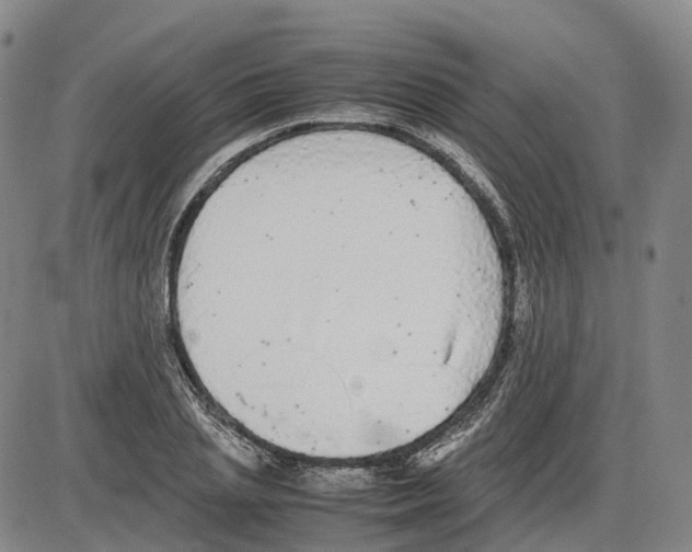 X0000085070837200704021409