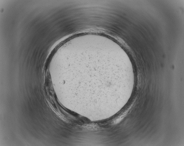 X0000085070838200704021409