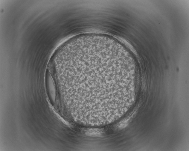 X0000085070839200704021409