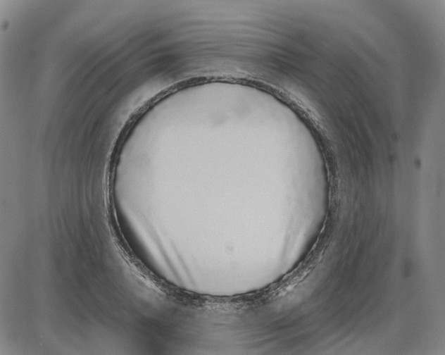 X0000085070840200704021409