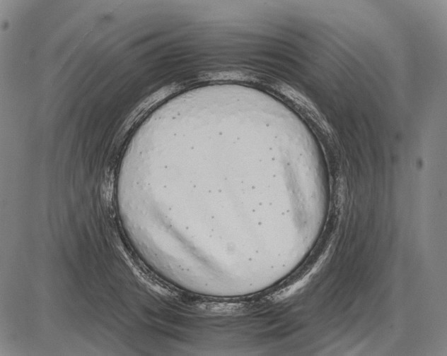 X0000085070841200704021409