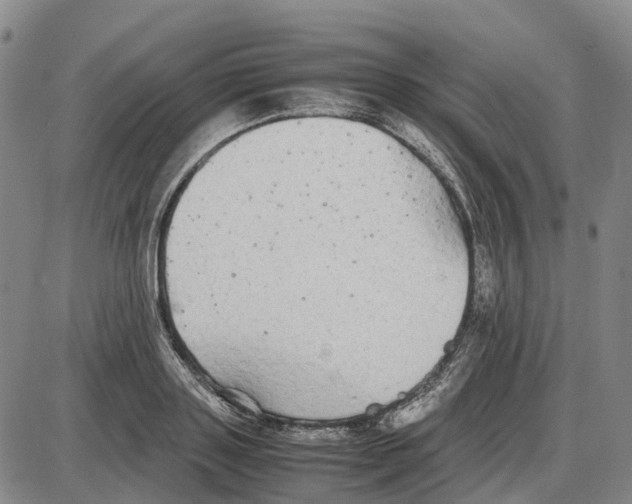 X0000085070843200704021409