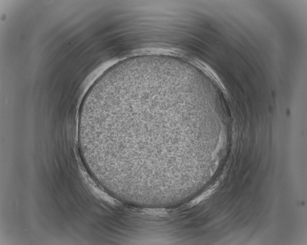 X0000085070844200704021409