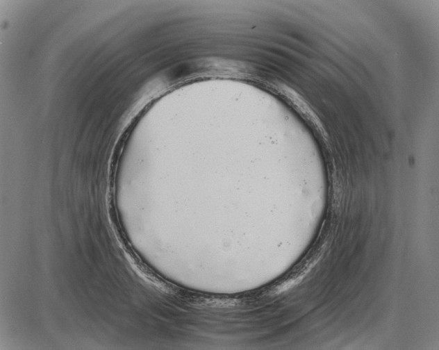 X0000085070845200704021409