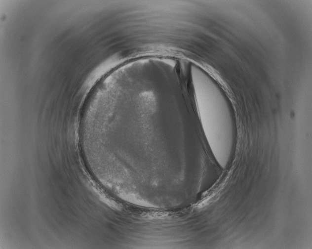 X0000085070846200704021409