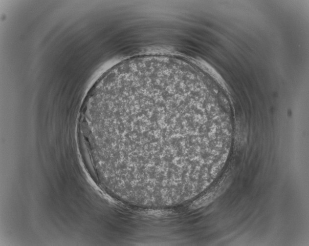 X0000085070847200704021409