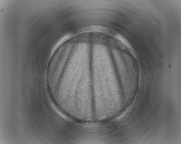 X0000085070850200704021409