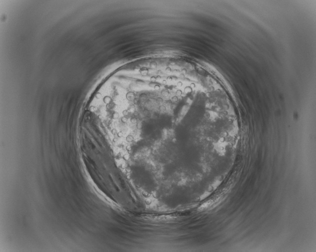 X0000085070851200704021409