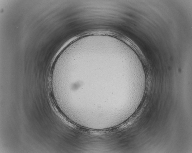 X0000085070852200704021409