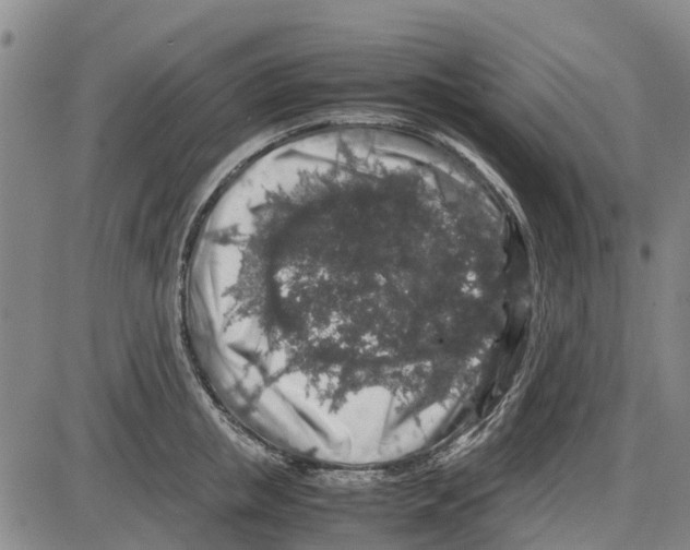 X0000085070853200704021409