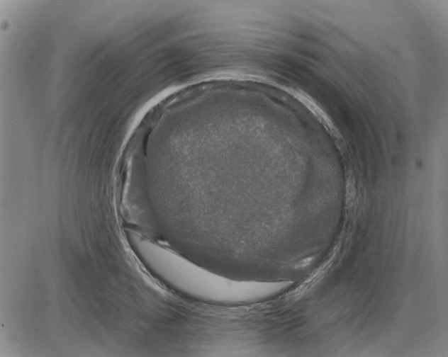 X0000085070854200704021409